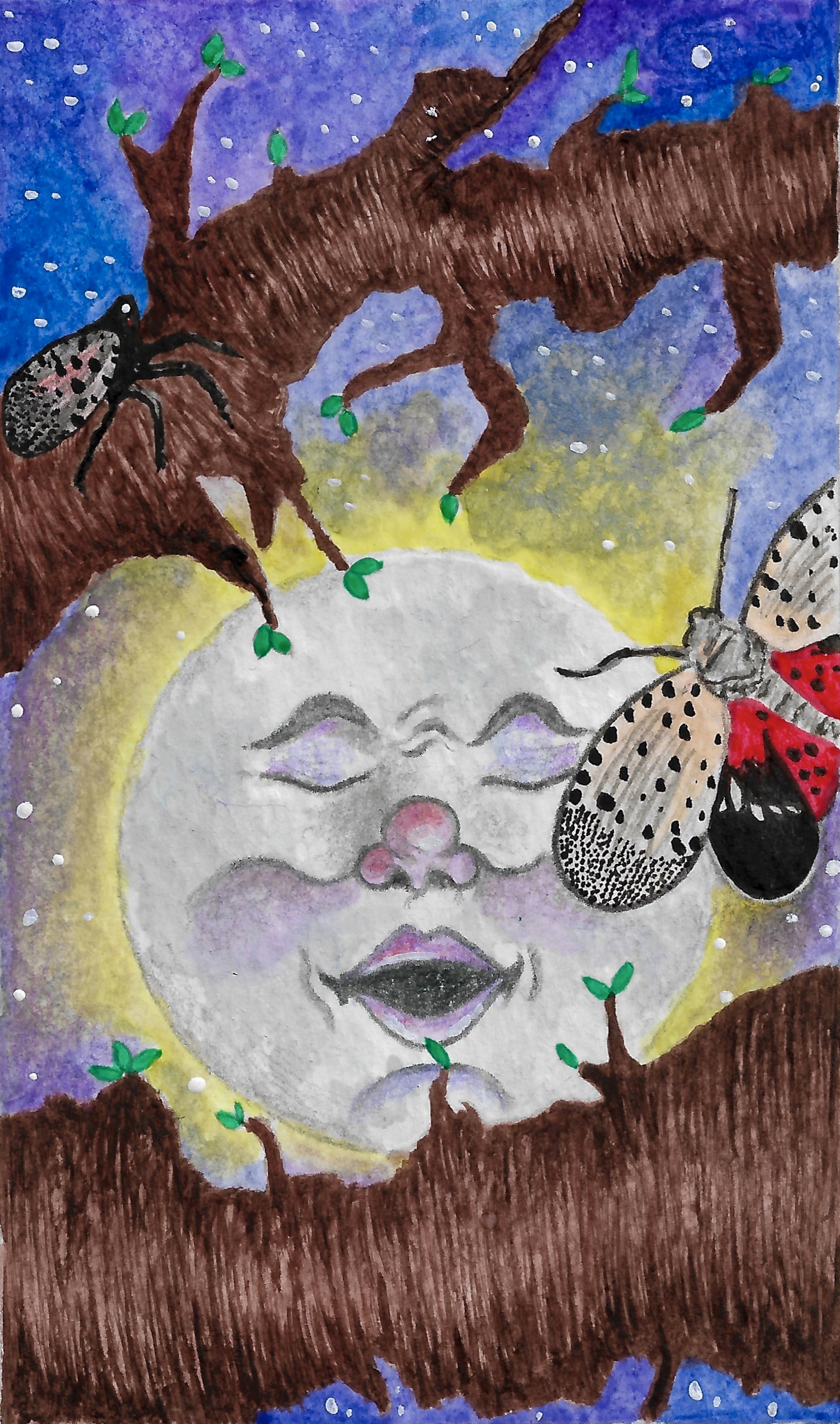 waterpaint/colour pencil illustration of the moon with lanternflies
